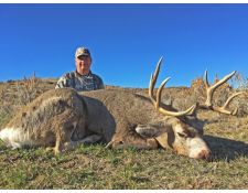 2016-Heavy Montana Buck