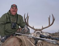 Typical 5X5 Montana Mulie