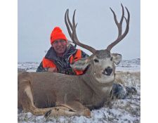 2017-A Super Montana Mulie for Todd