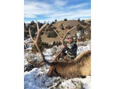 2018-Another Great Montana Bull for Justin 