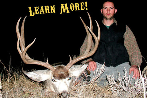 Montana Private Land Mule Deer
