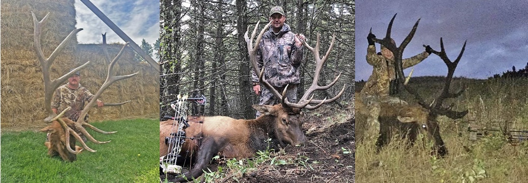 2023 Montana Elk Hunts
