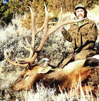 340 B&C Trophy Montana Bull Elk