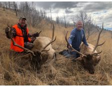 2018-Great Montana Bulls 