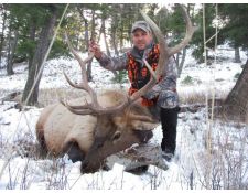 2015 Andy's  Montana Bull