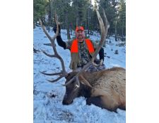 2018-An Awesome Montana Bull 