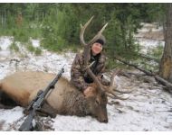 2013 Ellen's 2nd Montana Bull