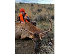 2014 Hunter's Montana Bull