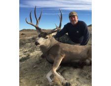 2016-Roy's Mule Deer
