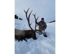 2017-Jason's 6X6 Montana Bull