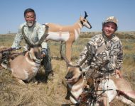 Double Decker  Decoy Archery  Montana Antelope