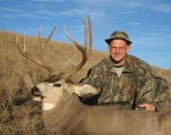Montana Management Mule Deer