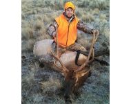 2013 Rich's Montana Bull