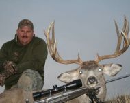 Awesome Wide 5X5 Montana Mule Deer