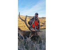 2016-Bobby's First Montana Bull