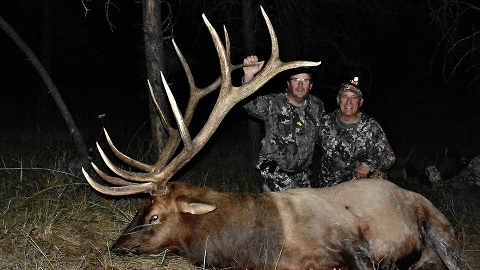 Montana General Draw Elk Hunt