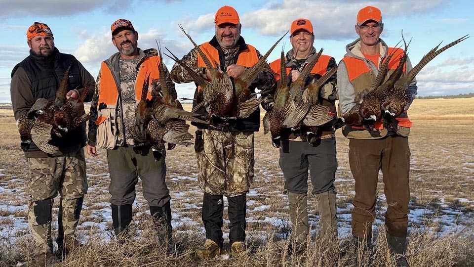 Montana Grouse Pheasant Hunts