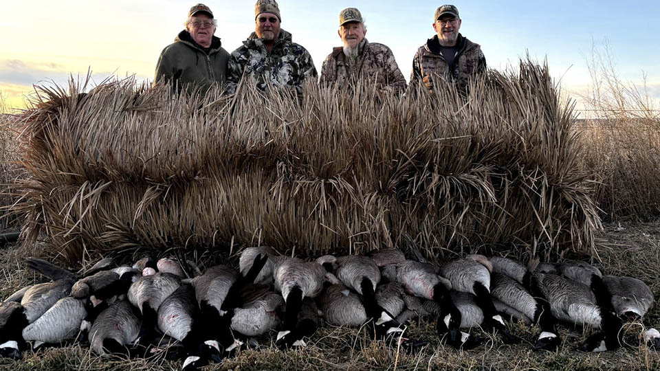 Montana Migratory Upland Bird Hunt