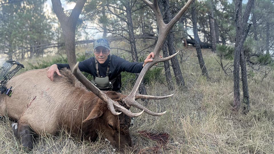 Montana Special Draw Archery Bull Elk Montana Special Draw Archery Bull Elk