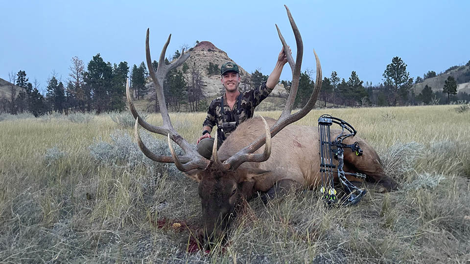 Montana Special Draw Archery Elk Hunt