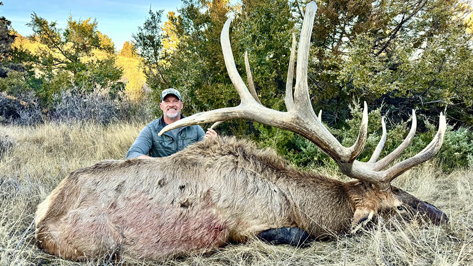 Montana Special Draw Rifle Elk Hunt