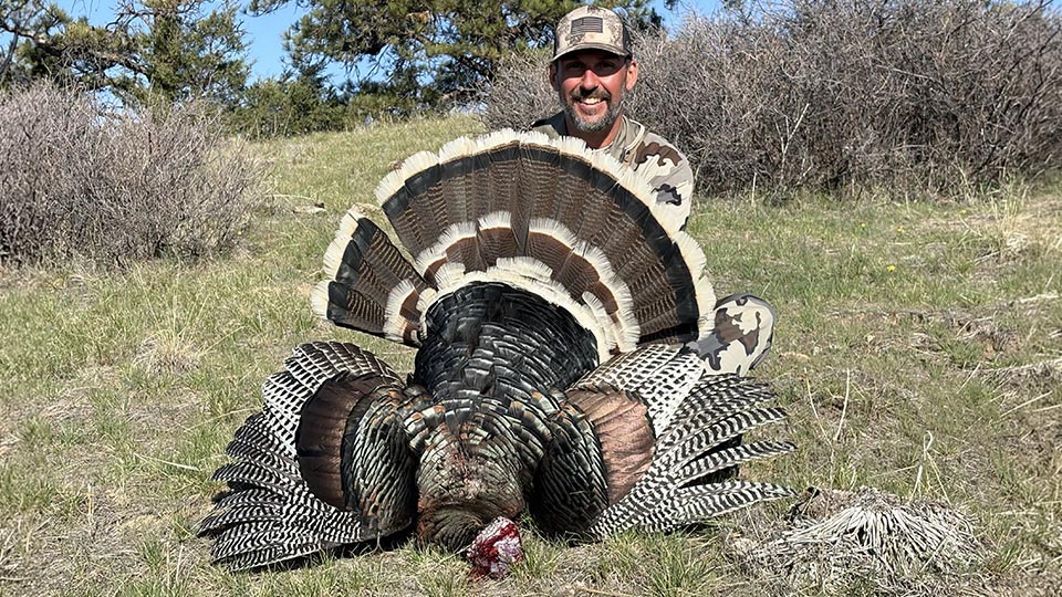 Montana Spring Turkey Hunts