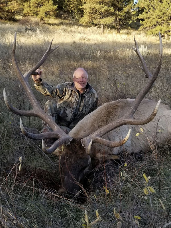 Montana Trophy Bull Elk Guided Hunt