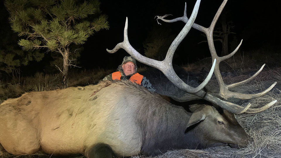 Montana Trophy Bull Elk Special Draw Rifle Hunt